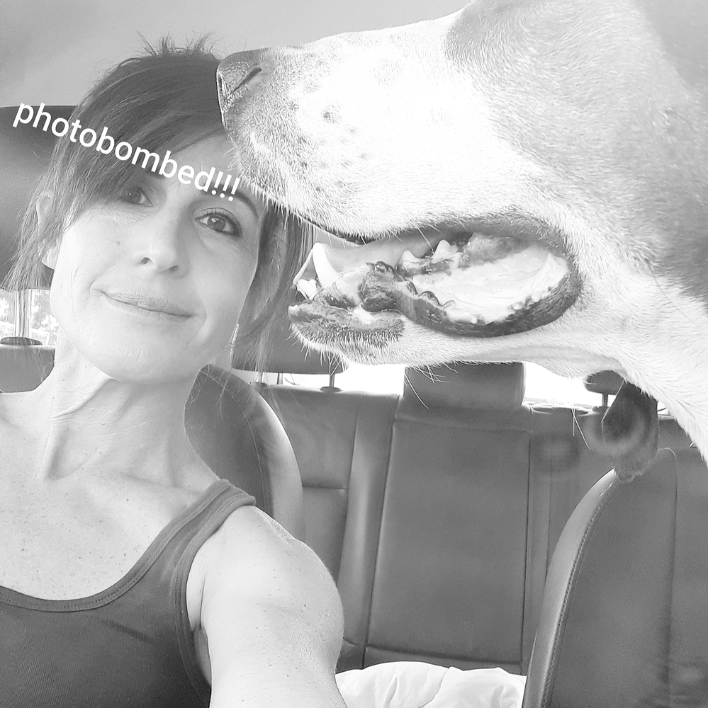 Meet your Posher, Julia